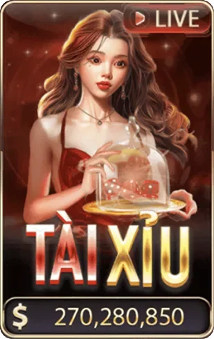 TÀI XỈU XÓC ĐĨA